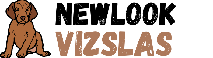 Newlook Vizslas